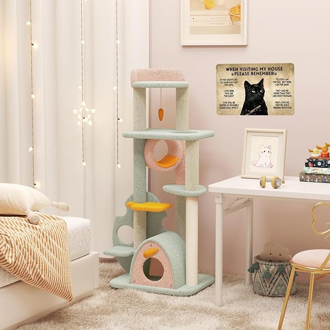 LV5 - Funny Cat House Rules Metal Sign