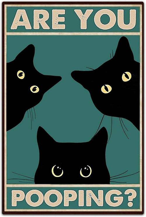 SV7 - Black Cats Metal Sign