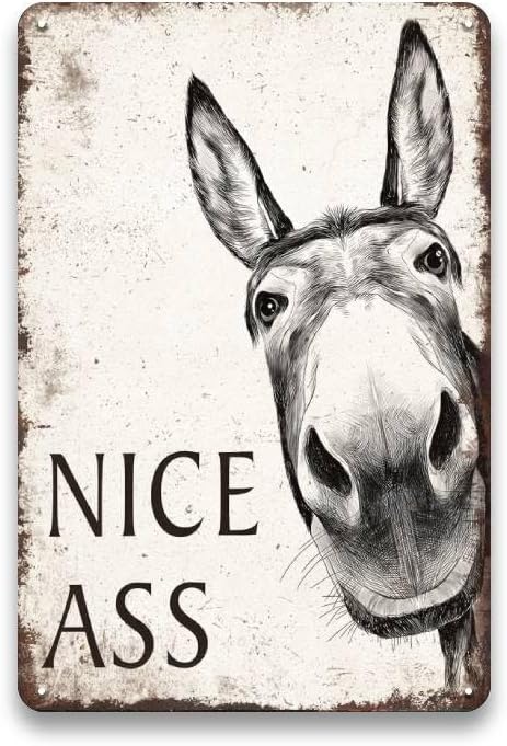 SV2 - Cheeky Donkey Metal Sign