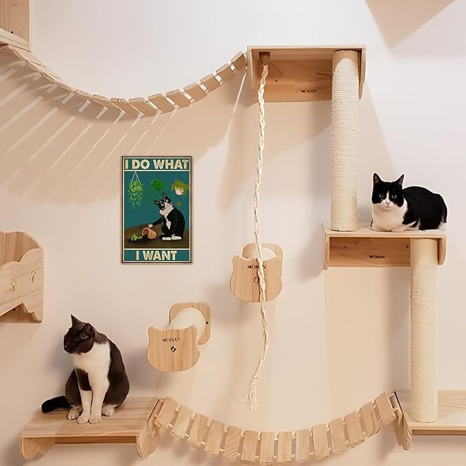 LV3 - Sorry Not Sorry Cat Sign