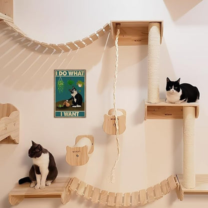 LV3 - Sorry Not Sorry Cat Sign