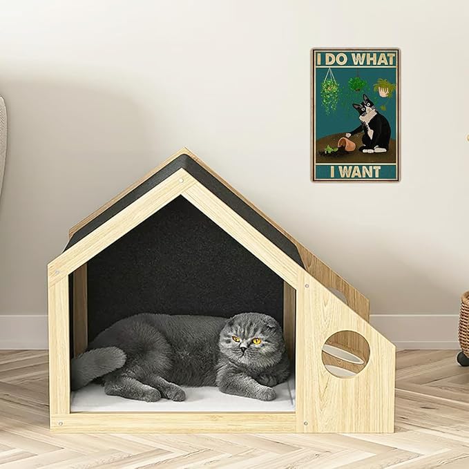 LV3 - Sorry Not Sorry Cat Sign