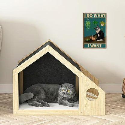 LV3 - Sorry Not Sorry Cat Sign