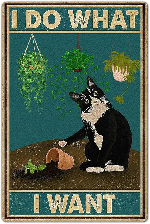 LV3 - Sorry Not Sorry Cat Sign