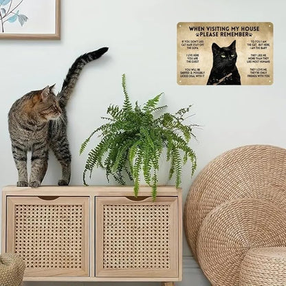 LV5 - Funny Cat House Rules Metal Sign