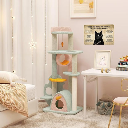 LV5 - Funny Cat House Rules Metal Sign