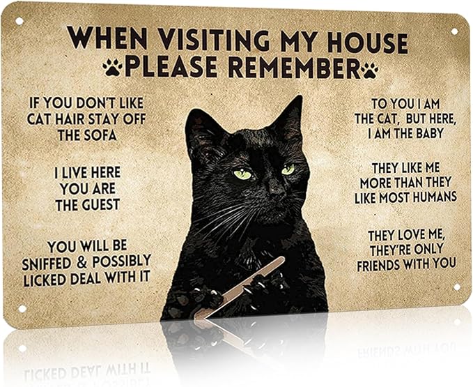 LV5 - Funny Cat House Rules Metal Sign